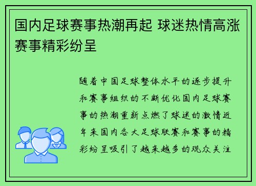 国内足球赛事热潮再起 球迷热情高涨赛事精彩纷呈